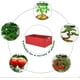 thumbnail image 5 of Zhuge Paquete de 5 maceteros elevados de tela, bolsa cuadrada para cultivo de flores y verduras, maceta con asas, color rojo, 5 of 5