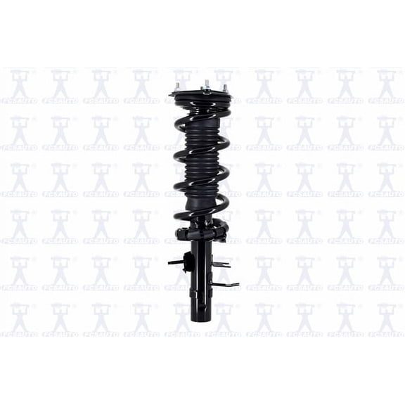 Suspension Strut and Coil Spring Assembly
