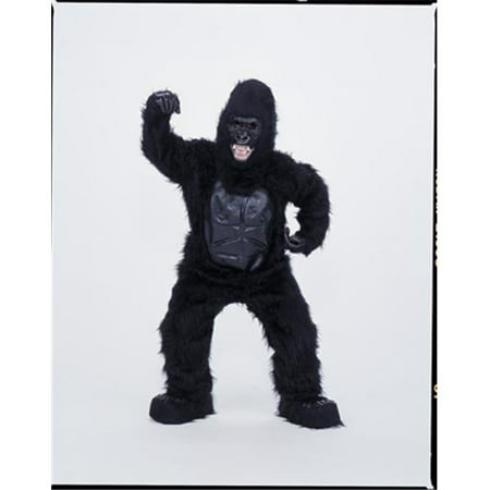 Costumes For All Occasions CM69009 Gorilla Mascot Complete