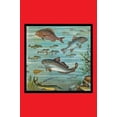 thumbnail image 1 of Fish Pond 2-Fine Art Canvas Print (20" x 30"), 1 of 1