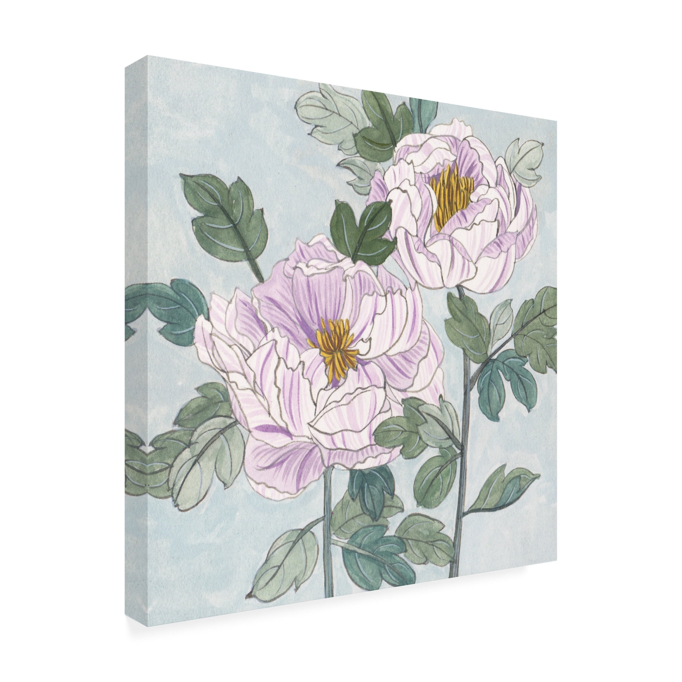 Trademark Fine Art Melissa Wang  Striped Peonies III Canvas Wall Art