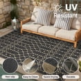 thumbnail image 5 of DEORAB Outdoor Rug 6'x 9' Polypropylene Surface Washable UV-Resistant Carpet Patio Deck Porch，Black & Beige, 5 of 12
