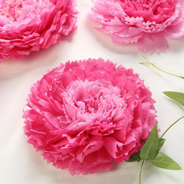 BalsaCircle 6 Pieces 12 16 20 Blush Pink Carnations Large Tissue Paper  Flowers Wall