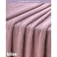 thumbnail image 4 of Bliss Travel Blanket Set - 4 Piece Plush Travel Blanket, Carry On Bag, Sleep Mask and Scrunchie, 4 of 7