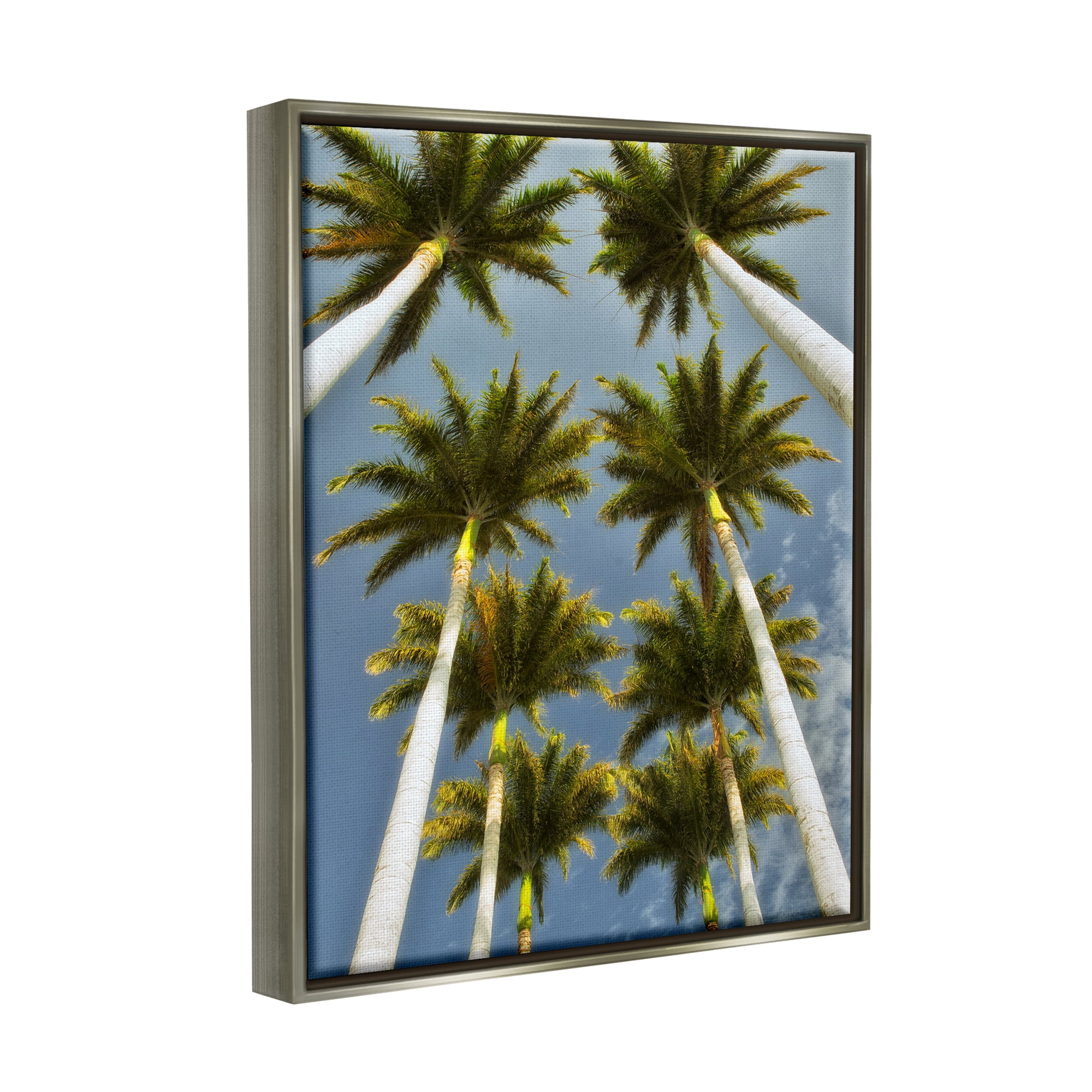 Stupell Industries Palm Trees Overhead Nature Photography Gray Floater Framed Art Print Wall Art, 17 x 21