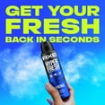 thumbnail image 6 of AXE Phoenix Deodorant Spray Crushed Mint and Rosemary, 4 oz, 6 of 14