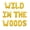Gold, variant on Wild in the Woods Foil Balloons Bachelorette Decorations Camping Bachelorette Party for Camp Bridal Shower Party Supplies