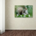 thumbnail image 3 of Trademark Fine Art 'Eastern Grey Squirrel' Canvas Art by Jacky Parker, 3 of 3