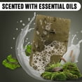 thumbnail image 4 of Plancha alisadora Cosmo ultrasuave serie profesional para cabello grueso de MINT | Potente plancha de pelo iónica de cerámica y turmalina de un solo paso para salón. Voltaje dual listo para viajar, 4 of 5