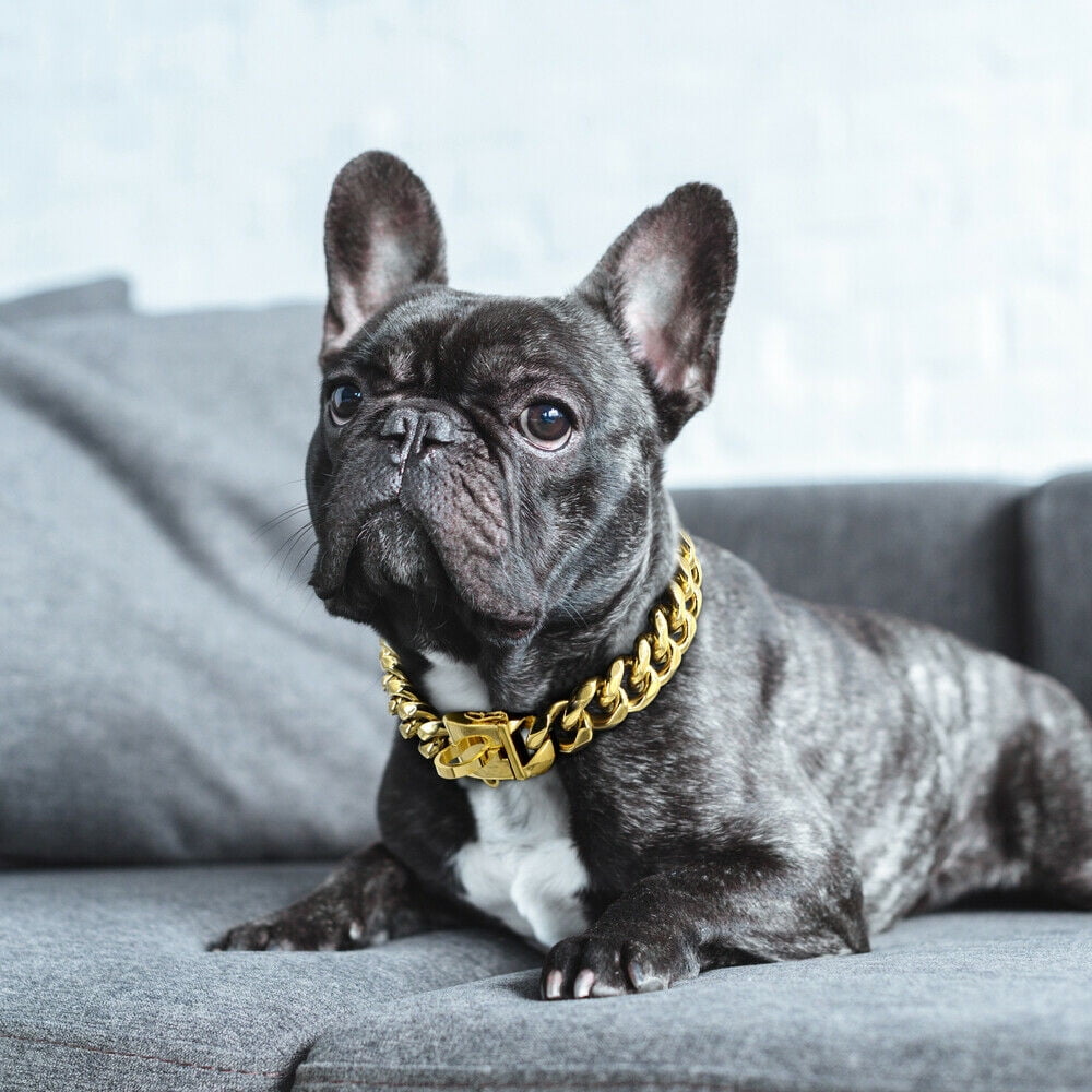 Pet Necklace Fighting Necklace | Necklaces Dogs Plastic Chains - Pet  Necklace Fashion - Aliexpress
