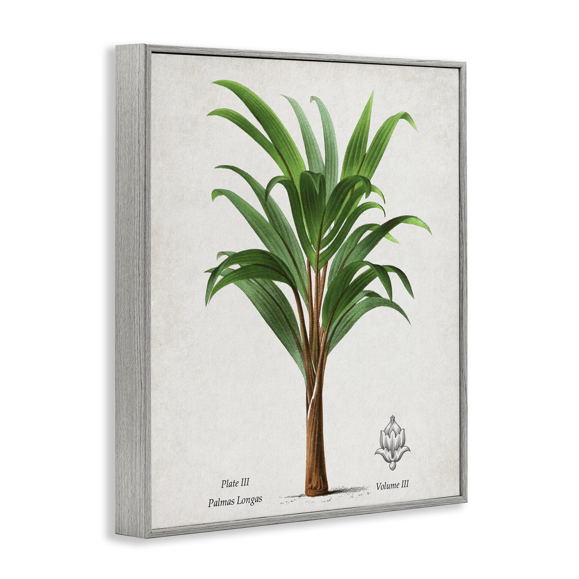Stupell Industries Palmas Longas Palm Tree Gray Framed Giclee Art, design by Val Rhodes