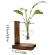 thumbnail image 2 of Florero transparente de escritorio de madera soporte de vidrio claro planta florero para el hogar mesa escritorio decoración interior, 2 of 8