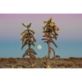 thumbnail image 3 of Larson, Nathan 24x17 Black Modern Framed Museum Art Print Titled - Desert Moonrise, 3 of 5