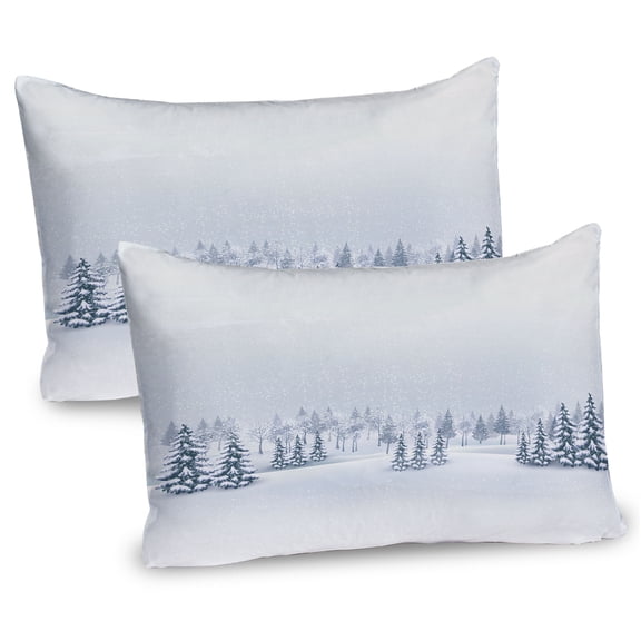 Ambesonne Winter Pillow Sham 2 Pack, Foggy Weather Trees, 30"x20", White