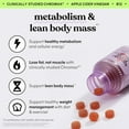 thumbnail image 3 of (2 pack) Lemme Tone Metabolism Gummies, Apple Cider Vinegar, Clinically Studied Chromium, B12, Ginger, Promote Lean Body Mass, Watermelon Apple Flavor (60 Gummies), 3 of 8