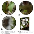 thumbnail image 3 of Designart "Observing Koala amidst Eucalyptus Trees II" Animals Framed Wall Art - Traditional Grey Koala Entryway Framed Wall Art, 3 of 6
