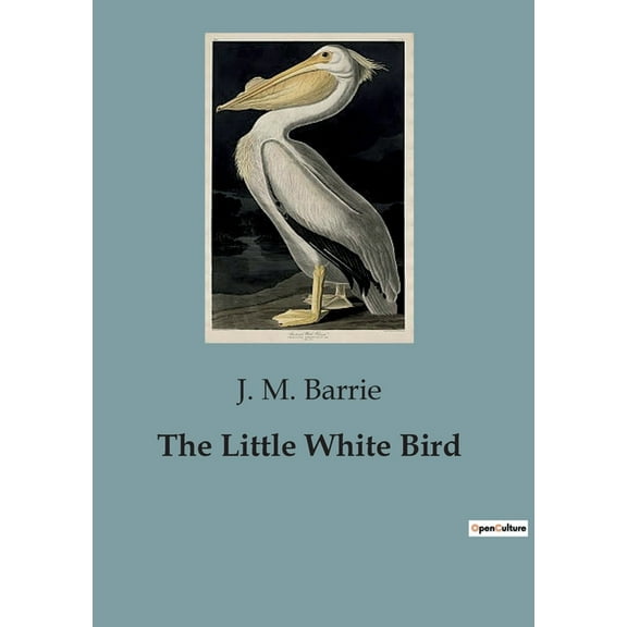 The Little White Bird (Paperback)