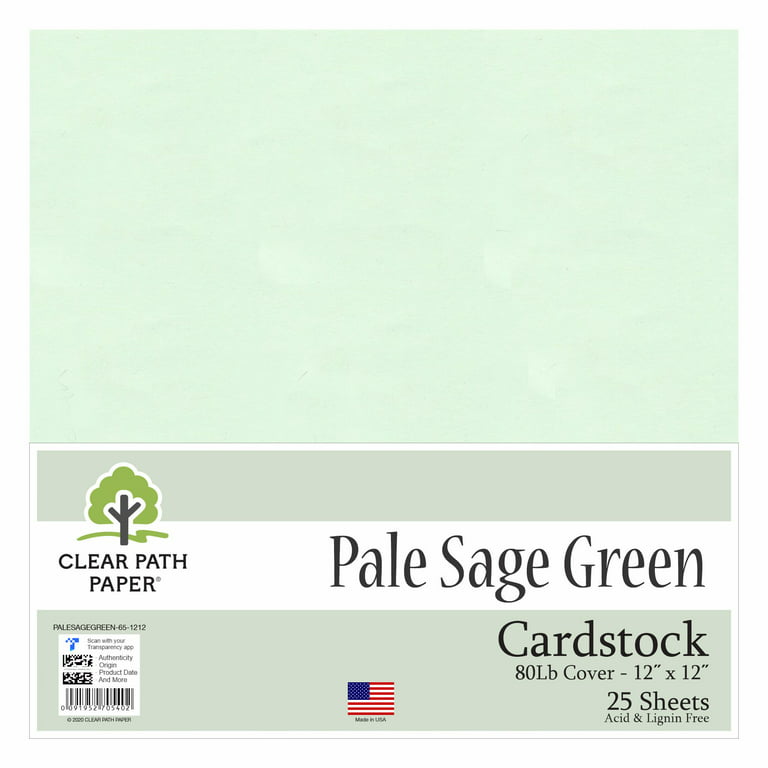 Pale Sage Green Cardstock - 12 x 12 inch - 80Lb Cover - 25 Sheets - Clear  Path Paper