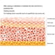 thumbnail image 3 of Escamas de Cera de Carnauba Orgánica, Cera de Carnauba para Depilación, Hidratacia, Acabado Fino para El Cuidado y Mantenimiento de Vehículos, Cuidado de Muebles,, 3 of 7
