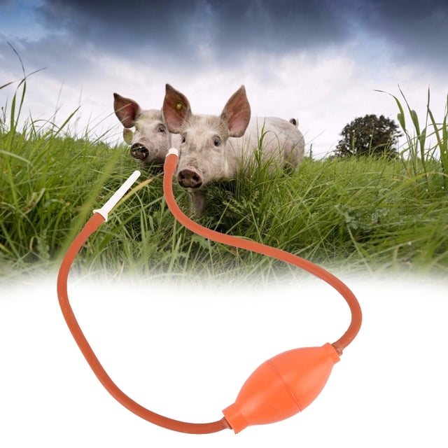 Vaginal enema 2Pcs Animal Enemator Uterine Irrigator Rectal Cleaner Bowel Cleaner for Animal Use ANGGREK Otros