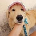 thumbnail image 3 of Sombrero para perros, gorra de béisbol para mascotas/gorro deportivo para perros/gorra con visera con orificios para las orejas oso de fresa Electrónica, 3 of 5