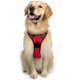thumbnail image 1 of Arnés para perros, arnés para mascotas sin tirones con 2 clips de correa, chaleco acolchado suave ajustable para perros, chaleco Oxford reflectante sin estrangulamiento para mascotas con manija de fá JFHHH pequeña, 1 of 5