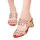 thumbnail image 5 of Chanclas de moda de verano para mujer, sandalias de tacón alto, zapatos de diamantes de imitación para chicas gordas Wmkox8yii  hj789, 5 of 6