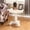 White, variant on Sturdy Pedestal Support / In Bedroom Corners / Holds Decor Items