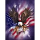 thumbnail image 3 of Cuadros Decorativos Bandera americana águila 5D DIY diamante redondo completo pintura colgante decoración dibujos Ehuebsd Nuevos Originales, 3 of 9