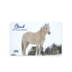 thumbnail image 5 of Figura de caballo Breyer Horses Traditional Series Cloud 30th, 5 of 5