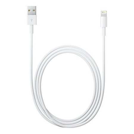 UPC 759218224110 product image for Apple MD818AM/A Lightning to USB Cable (1 m) | upcitemdb.com