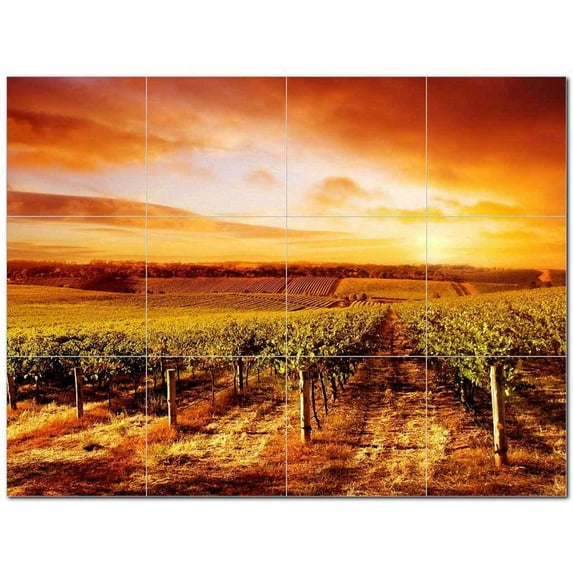 Wine Grapes Ceramic Tile Mural Kitchen Backsplash Bathroom Shower 406361-L43