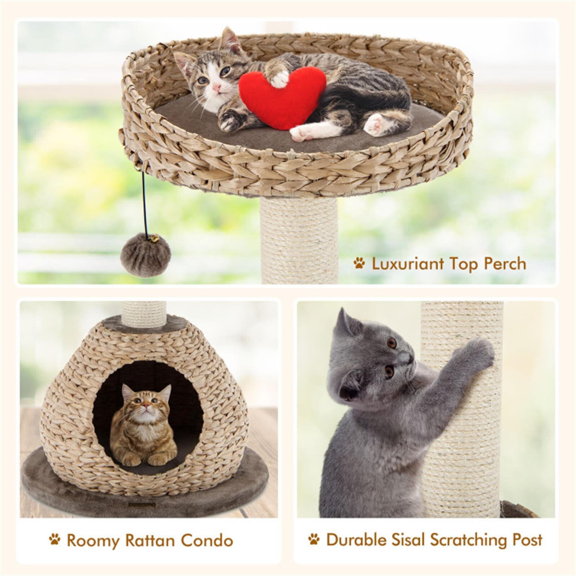 Kadyn 28" Modern Cat Tree Tower for Indoor Cats with Natural Sisal Scratching Posts, Hand-Woven Condo and Top Perch for Kittens Climb Play, Rest, Brown