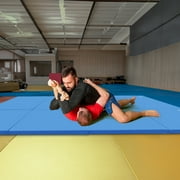 BalanceFrom 10ft x 4ft x 2in 4-Panel All-Purpose Folding Gymnastics Mat, Blue