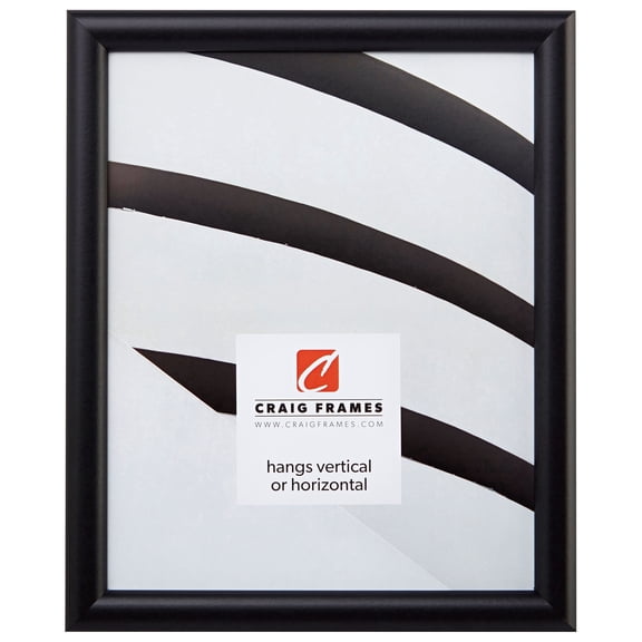 Craig Frames Bullnose, 24x36 inch Picture Frame, Contemporary Black.