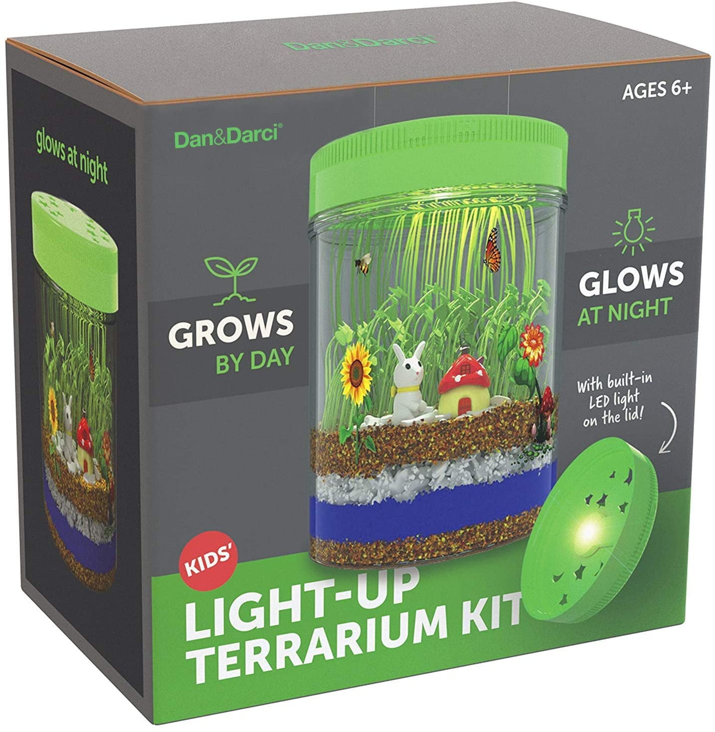 Ant Colony Terrarium Kit Arts and Crafts for Kids Ages 8-12 Boys and Girls DIY