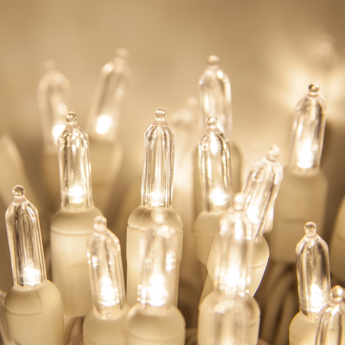 Wintergreen Lighting T5 LED White Mini Lights, Wedding Lights, White