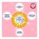 thumbnail image 5 of Arm & Hammer Pasta Dental Sensitive 127 g. Suave con el Esmalte, Blanquea sin Causar Sensibilidad, Alivia el Dolor en Nervios y Dientes. Menta Fresca, 5 of 6