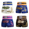 thumbnail image 3 of Unisex Boxing Shorts mma Muay Thai Training Trunks Fitness Shorts for Adults Xxxl No. 69, 3 of 7