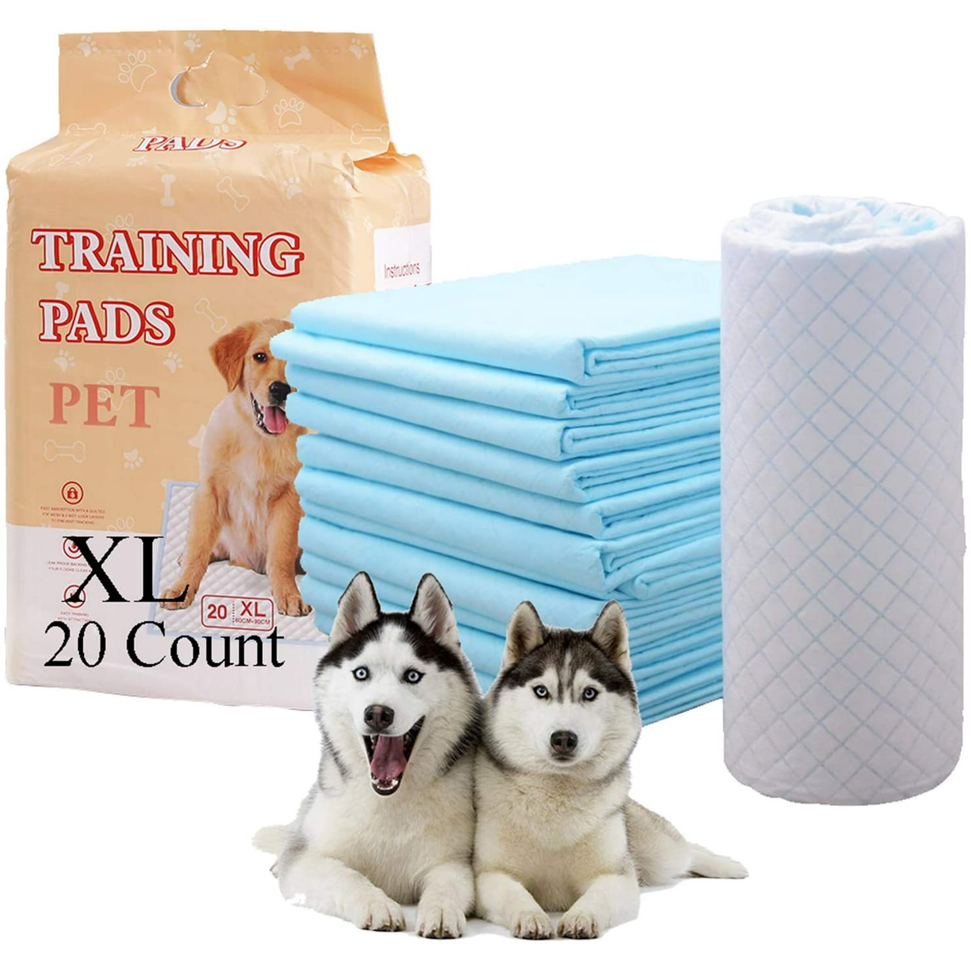 Why Does My Husky Leak Urine