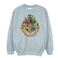 thumbnail image 1 of Harry Potter Girls Hogwarts Crest Gold Ink Sweatshirt, 1 of 4