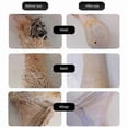 thumbnail image 5 of Electric Chicken Feather Plucker Rechargeable Small Poultry Plucking Machine, 5 of 5