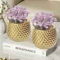 thumbnail image 1 of CasaVibe Suculenta Falsa Morada en Maceta de Cerámica Texturizada Dorada - Juego de 2 Plantas Suculentas Artificiales para Decoración Del Hogar, Mini Plantas Falsas Glamorosas de Escritorio, Arreglo, 1 of 8