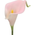 thumbnail image 3 of 10pcs Calla Lily Bridal Wedding Bouquet Lataex Real Touch Artificial Flower Home Party Decor (Yellow), 3 of 5