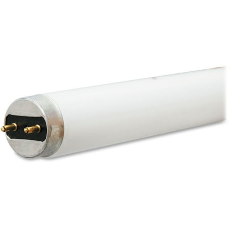 Actinic T8 Fluorescent Lamp - GE Lighting 32-watt T8 Fluorescent Lamp - 32 W - 120 V AC - Linear - T8 Size - Cool White Light Color - G13 Base - 30000 Hour - 6920.3°F (3826.8°C) Color Temperature - 85 CRI - 36 / Carton