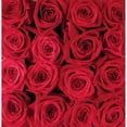 thumbnail image 3 of met Bloemen, Creatief 20x20 Black Modern Framed Museum Art Print Titled - Red rose creation, 3 of 5