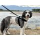 thumbnail image 5 of Arnés para perros SHAWNCO Essential, chaleco sin tirones para mascotas Orchid XL, 5 of 5