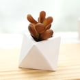 thumbnail image 4 of 4 Uds simulación de plantas suculentas en macetas decoración creativa pequeño triángulo bonsái decoración artificial de interior plantas verdes, 4 of 5