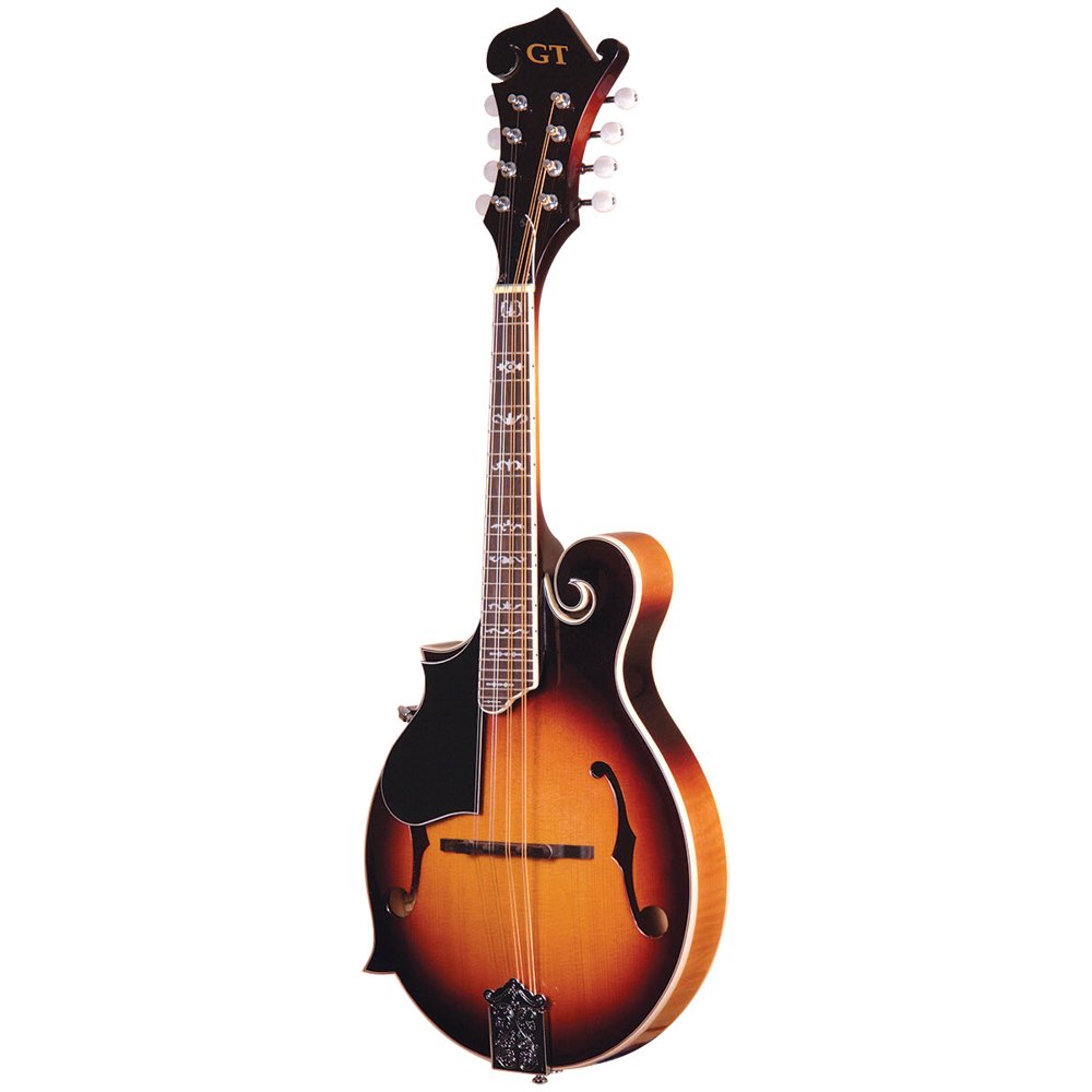 Gold Tone Left Hand FStyle Mandolin w/ Gig Bag