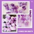 thumbnail image 3 of Miangastore Rocks for Terrarium Purple Crystal 1 Pack 1.18x0.59x0.59in, 3 of 9